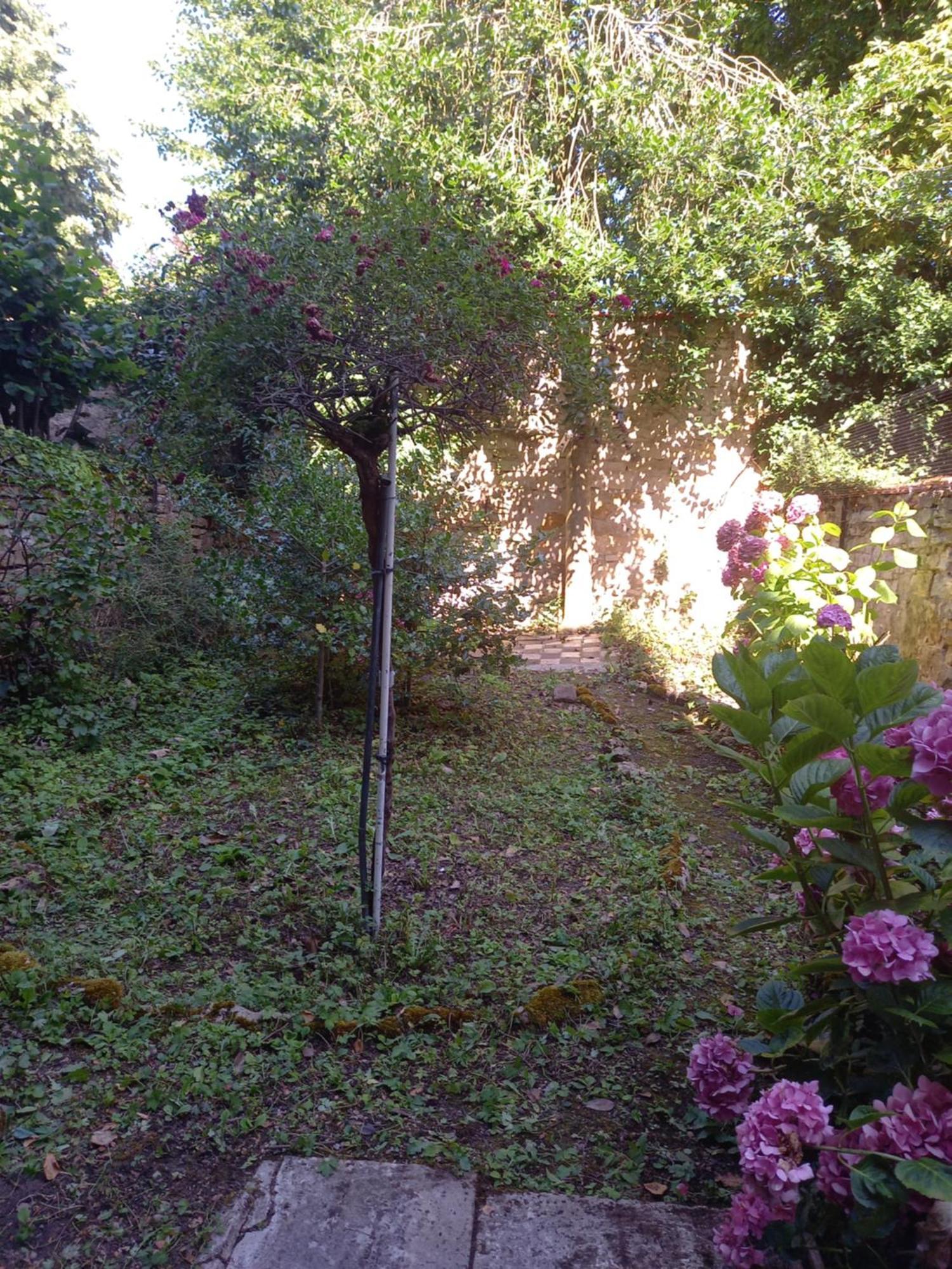 Apartament La Teranga De Kadi & Cathy, Avec Jardin Privatif Nancy Zewnętrze zdjęcie